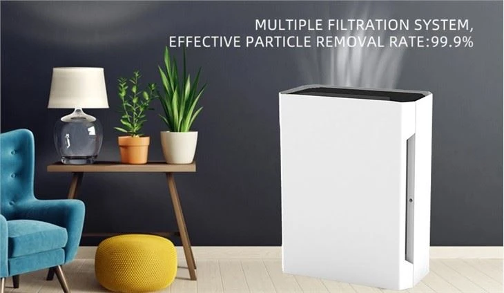 BKJ-20B 2021 Home Air Purifier Anion Technology