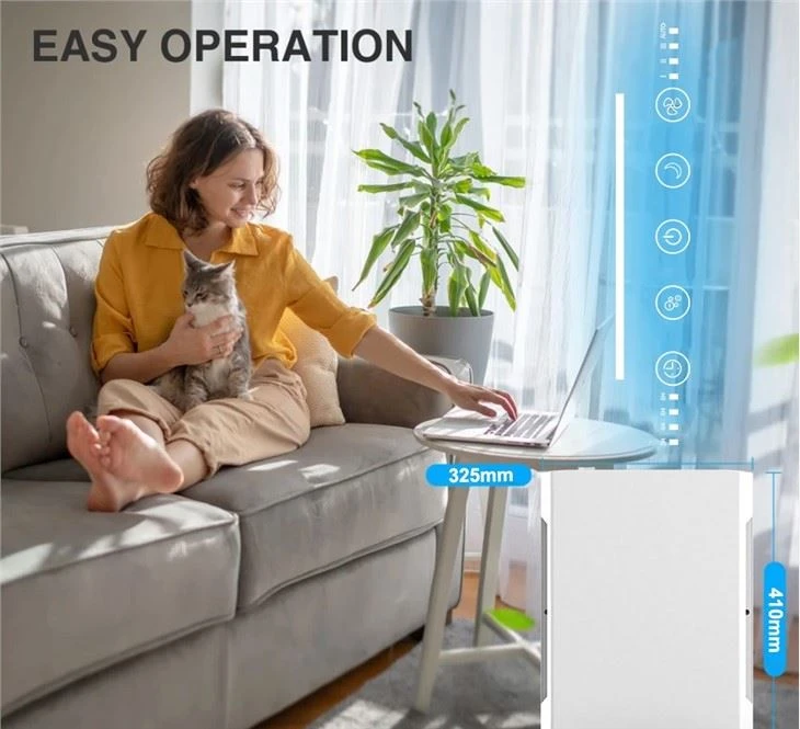 BKJ-20B 2021 Home Air Purifier Anion Technology