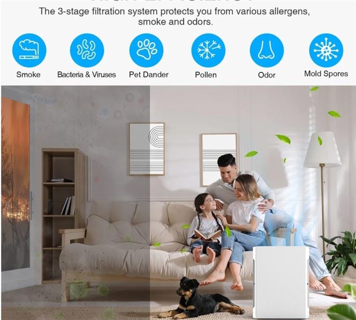 BKJ-20B 2021 Home Air Purifier Anion Technology