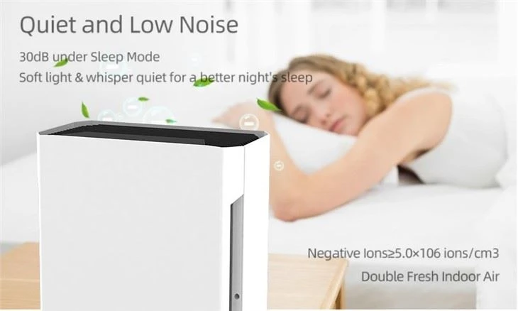 BKJ-20B 2021 Home Air Purifier Anion Technology