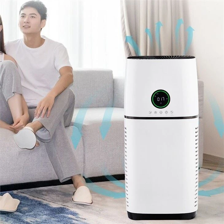 BKJ-500 Home Standard Room Air Purifier