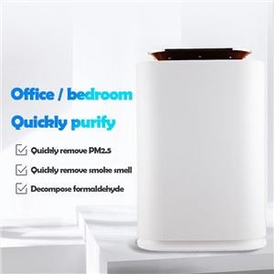 BKJ-300A PM2.5 rodyti namų oro valytuvą