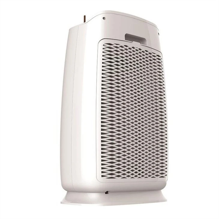 Economic Home Anion Technology Air Purifier