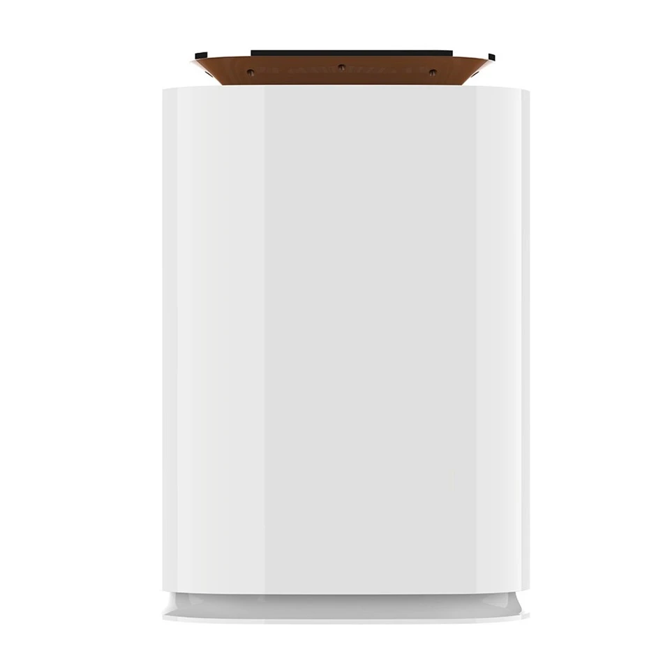 BKJ-300A Room Air Purifier With PM2.5 Air Quality Display best